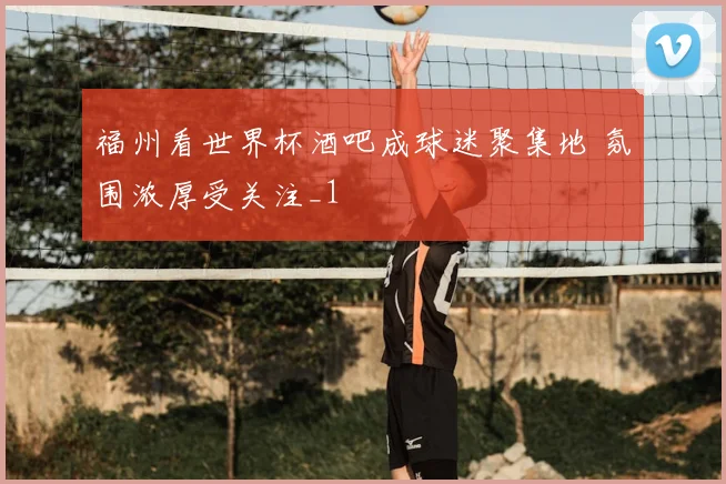 福州看世界杯酒吧成球迷聚集地 氛围浓厚受关注_1