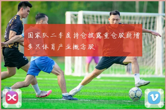 国家队二季度持仓披露重仓股新增多只体育产业概念股