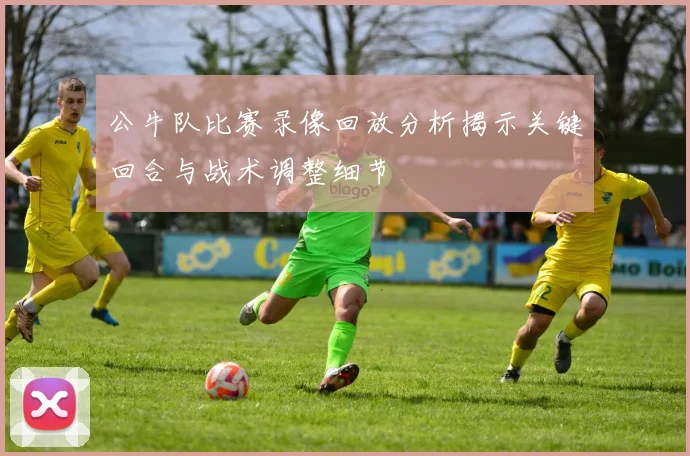 公牛队比赛录像回放分析揭示关键回合与战术调整细节